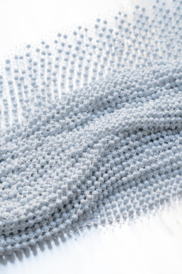 JUSTINA MONCEVIČIŪTĖ