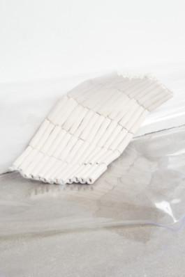 JUSTINA MONCEVIČIŪTĖ